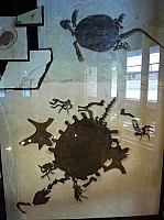 Fosile butte (8).JPG